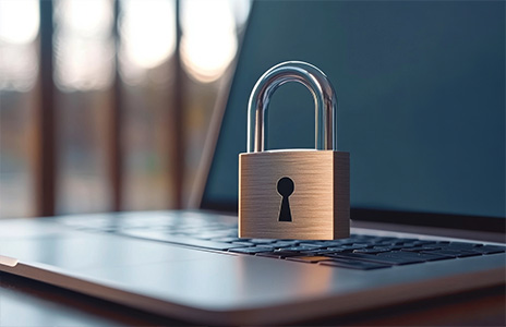 Imagen de Seguridad de Datos